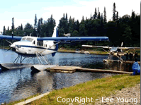 Two floatplanes docked at Island lake in preparation for fly out Alaska bear viewing and salmon fishing