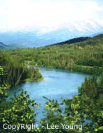 Bueatiful scenic view of the river from an airborne floatplane